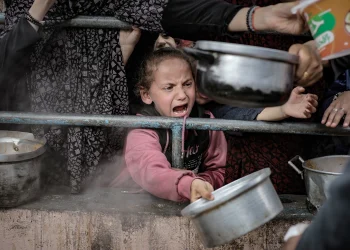 Gaza Faces Life-Threatening Hunger Crisis, Warns World Health Organization