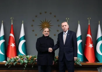 Pakistan, Turkiye Urge Immediate Ceasefire and Humanitarian Access in Gaza