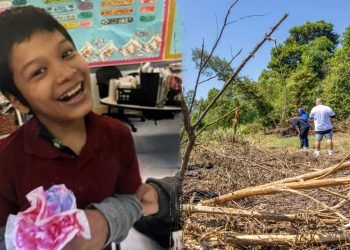 Missing New Orleans boy, 12, died after alligator attack, drowning: authorities