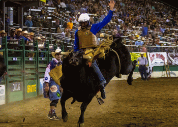 ‘PBR Friday Night Live’ bucks into Fox Nation with high-octane debut