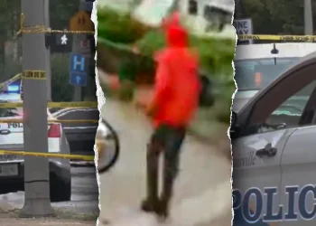 Louisville woman shot and killed walking child to school bus stop