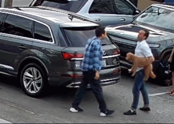 Biotech CEO sues Uber after illegal immigrant driver assault caught on camera in downtown Charleston, SC