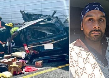Judge denies bond for illegal immigrant trucker in deadly Florida Turnpike wreck