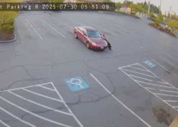 DIY tow job goes horribly wrong as runaway car hits same Washington restaurant multiple times
