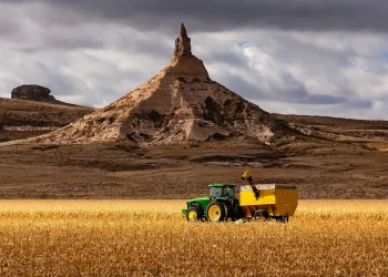 Agriculture is the answer to America’s junk food crisis