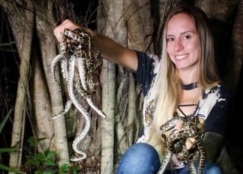 Florida woman wins annual python challenge with record snake haul