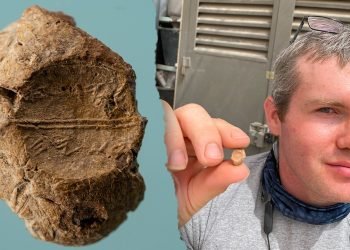 Rare biblical seal with ancient fingerprint found in debris from Jerusalem’s Temple Mount