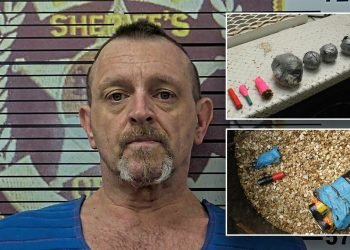 Tennessee man allegedly tries to blow up law enforcement officials during arrest at his home: authorities