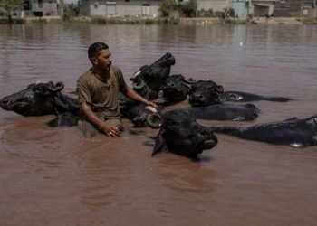 Pakistan monsoon death toll nears 300 as more rains likely from tomorrow