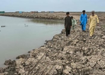 Death of a delta: Pakistan’s Indus sinks and shrinks