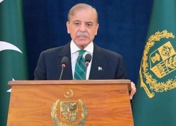 Overseas Pakistanis should rise above politics, strengthen nation’s image, economy: PM