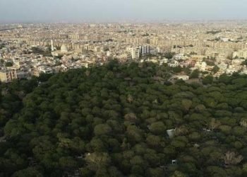 Pakistan reaches critical environmental tipping point as forest cover shrinks by 18%