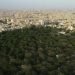 Pakistan reaches critical environmental tipping point as forest cover shrinks by 18%