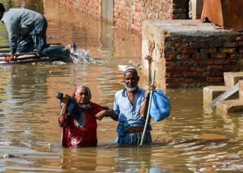 Pakistan’s monsoon death toll tops 800 after rains wreak havoc