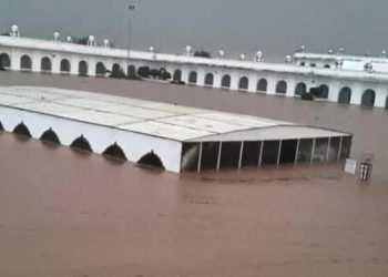 WATCH: Floodwater submerges Kartarpur area in Punjab