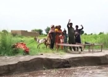 WATCH: Stranded families eye aid as Sutlej flood submerges villages in Bahawalnagar
