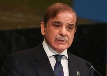 PM Shehbaz calls for formulating joint strategy to deal with climate crisis