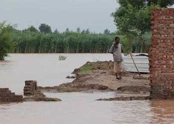 Body set up to develop strategies to boost resilience against extreme weather events