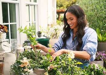 Meghan Markle’s Netflix comeback snubbed by royals, palace has ‘far bigger priorities’: experts