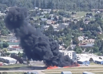 Pilot, 3 passengers walk away from fiery plane crash in Montana: Video