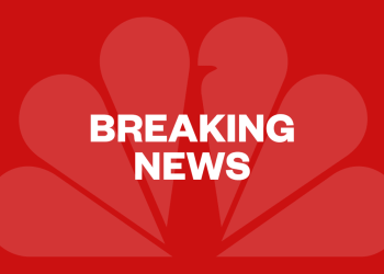 Zelenskyy rejects Trump’s proposal that Ukraine could swap territories with Russia