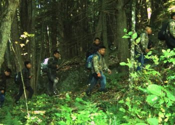 US northern border smuggling creates ‘shopping grounds’ for migrants to sanctuary communities: attorney