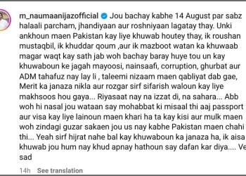 Now the young generation is only standing in the visa line; Noman Ijaz’s message on Independence Day