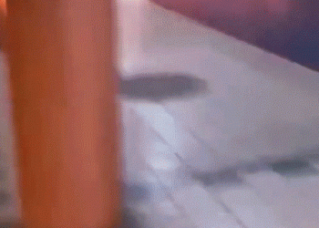 Fire under NJ train sends passengers fleeing; multiple treated for smoke inhalation