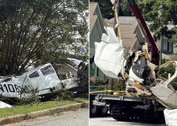 Small aircraft plummets into Georgia neighborhood, leaves 3 injured