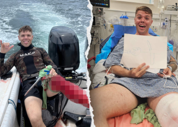 ‘Sharks won’t do anything to you’: Florida spearfisherman attacked by shark minutes after reassuring family