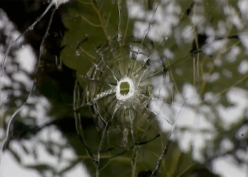 California man released from custody after arrest in ABC news station shooting