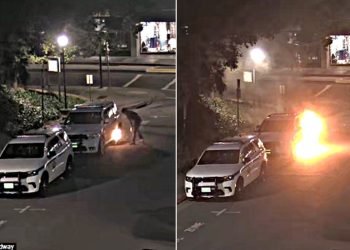 Pro-Hamas California arsonist slapped with 19-year prison sentence