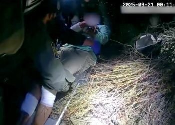 Border Patrol agents rescue cyclist who fell ‘more than 50 feet’ into remote canyon