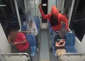 Charlotte train stabbing suspect’s brother says killing could have been ‘prevented’