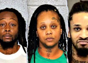 Train stabbing suspect’s family has history of crimes, records show