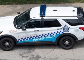 Drowned 63-year-old Illinois man’s death deemed a homicide: Cook County Medical Examiner’s Office