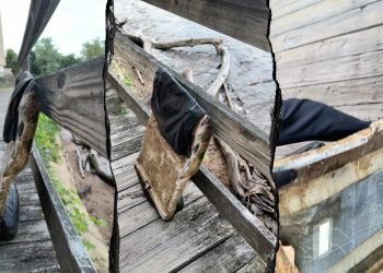 Dog-walking man stumbles on suspected debris from Reagan National plane crash 7 months later