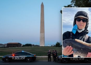 Two teens arrested in murder of Capitol Hill intern, third sought: DOJ, DC police