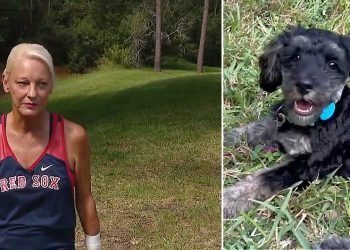 Florida woman wrestles alligator to rescue puppy it dragged into creek