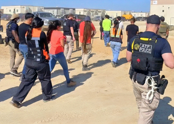 Former DHS official hails ICE raid on Georgia EV plant as ‘great deterrent’ against hiring illegals