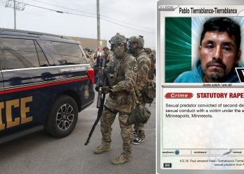 Homeland Security releases Pokémon-themed video to highlight immigration arrests: ‘Gotta Catch ‘Em All’