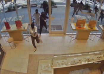Brazen blue state jewelry store heist caught on camera as armed mob makes off with $1M in merchandise: police