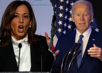 Kamala Harris breaks silence on Biden dropout, admits she has regrets about her handling of situation