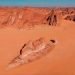 How did a fish end up in Saudi Arabia’s AlUla’s desert?