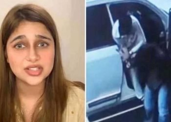 Samiya Hijab, Hassan Zahid strike â€˜out-of-court settlement’