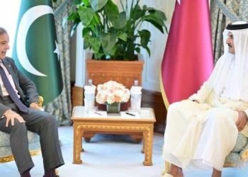 In meeting with Emir Sheikh Tamim, PM Shehbaz reaffirms support for Qatar
