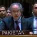 At UN, Pakistan pledges constructive role in US peace plan for Palestine