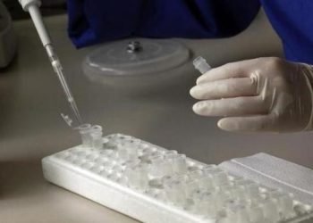 Human skin cells turned into fertilisable eggs for first time