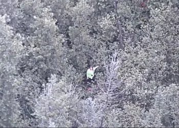 YouTube survival show contestant rescued in densely wooded Michigan area