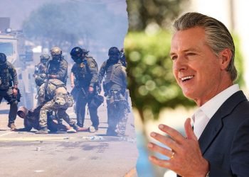 Newsom rips pot farm raids as cartels, Chinese adversaries infiltrate grow operations endangering Americans